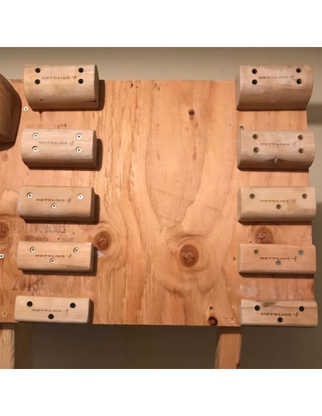 Campus blocks Medium de Metolius