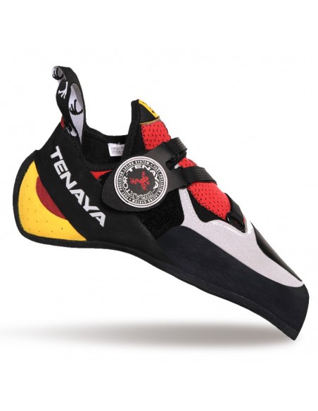 Pie de gato iati de Tenaya