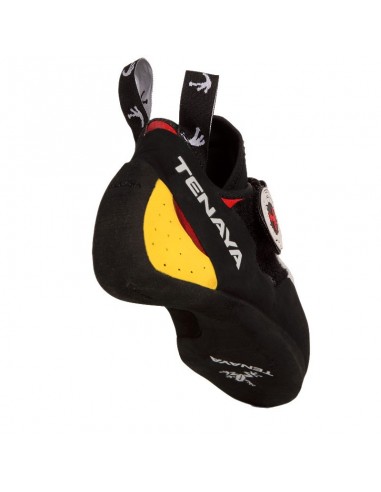 Pie de gato iati de Tenaya