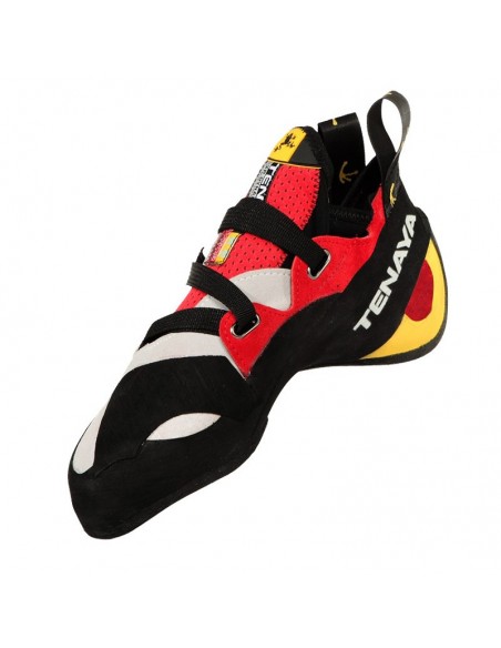 Pie de gato iati de Tenaya