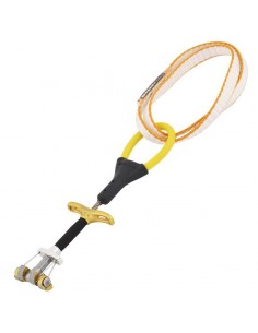 Dragonfly gold 3 de DMM 2