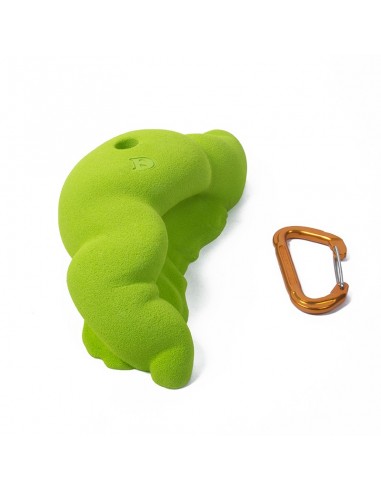 Presa XXL Mother Worm de Didak's