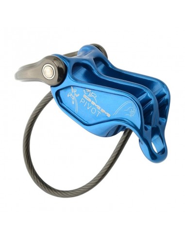 Cazoleta Pivot de DMM