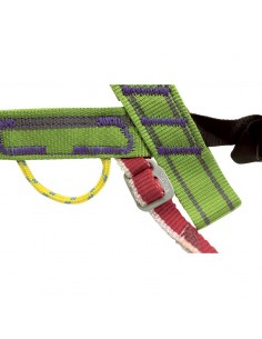 recambio cinta pectoral ergo plus - rodcle 2