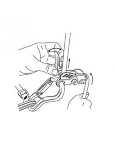 birdie (blue) - asegurador escalada - beal