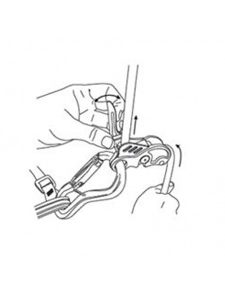 birdie (blue) - asegurador escalada - beal