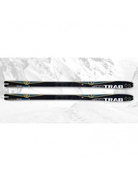 gara aero world cup 60 (164cm) - esquí de competición - ski trab