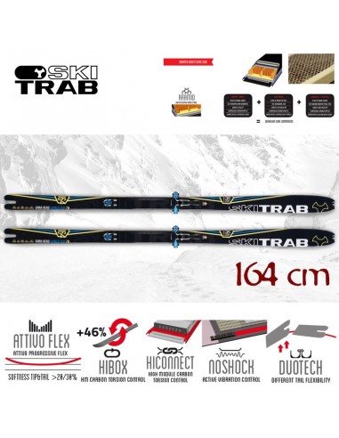 gara aero world cup 70 (164cm) - esquí de competición - ski trab