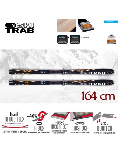 gara powercup (164cm) - esquí de competición - ski trab