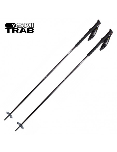 maestro - bastones fijos para esquí - ski trab