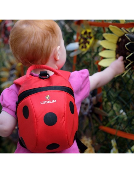 ladybird - mochila infantil de 1 a 3 años - littlelife