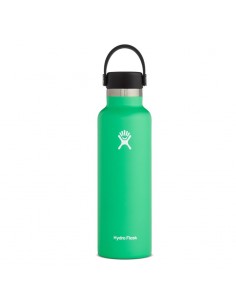standard mouth bottle 21 oz (spearmint) - termo doble pared acero inoxidable - hydroflask 2
