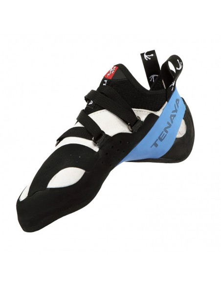 oasi - pies de gato - tenaya