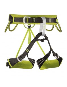 arnes alpine flash + 4 cintas extensibles alpine (60 cm) - camp 2