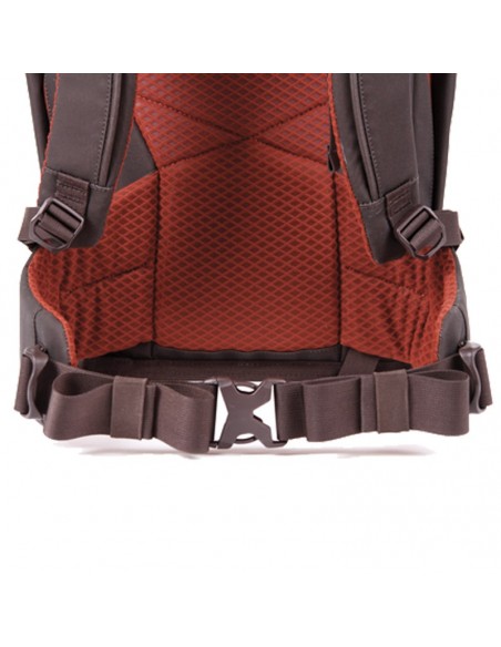 moonlight 35 l (ganache) - petate escalada - blue ice