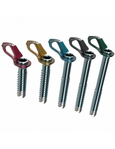 pack aero lite (10,13,16,19 y 22 cm) - tornillos de hielo - blue ice