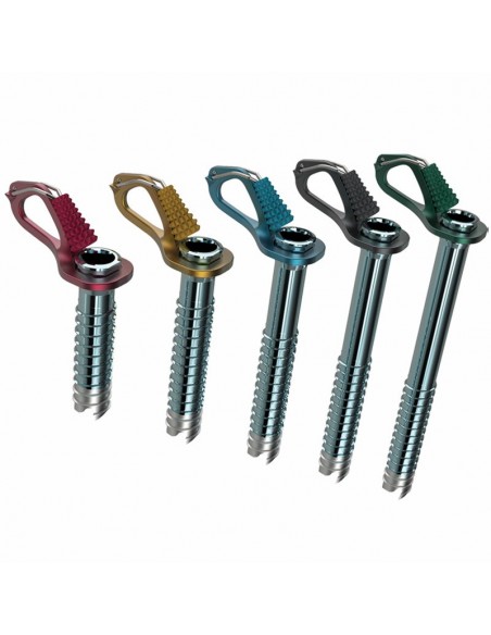 pack aero lite (10,13,16,19 y 22 cm) - tornillos de hielo - blue ice