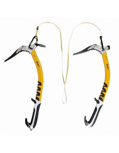 bungee - dragonera bífida - singing rock