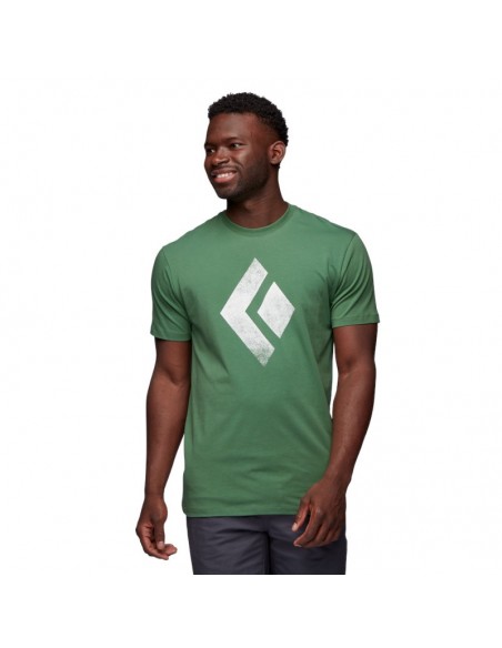 chalked up tee - camiseta algodón orgánico (arbor green) - black diamond