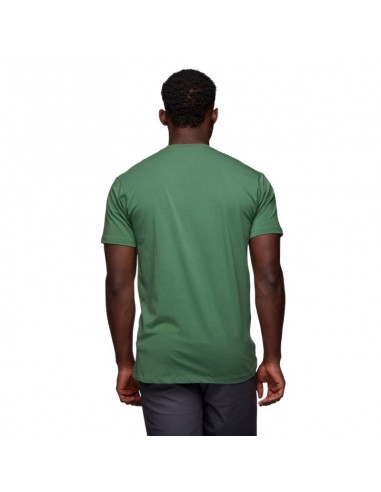 chalked up tee - camiseta algodón orgánico (arbor green) - black diamond