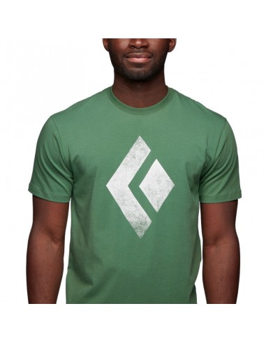chalked up tee - camiseta algodón orgánico (arbor green) - black diamond
