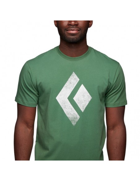 chalked up tee - camiseta algodón orgánico (arbor green) - black diamond