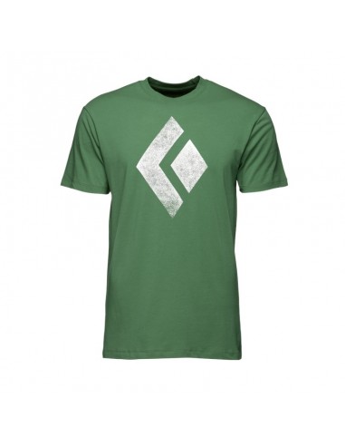 chalked up tee - camiseta algodón orgánico (arbor green) - black diamond
