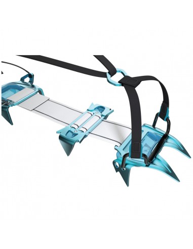 Harfang Tour - Blue Ice