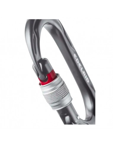 Kiwi Screw - Edelrid